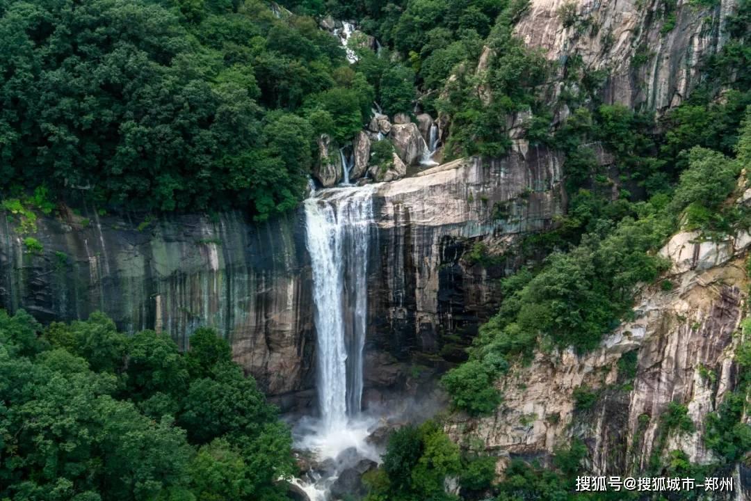 细软塌油秃？这几个方法稳固发根，三个月实现发量逆袭！